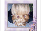 flower bun 2009
