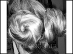 5-2013 2silvercinbuns