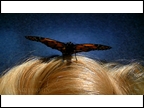 mothra pose