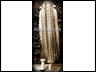 JJJLONGHAIR 8-2011sepia61inch