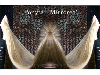 3 clip bun PONYTAIL MIRRORED w txt