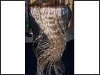 waves in motion Oct 2013