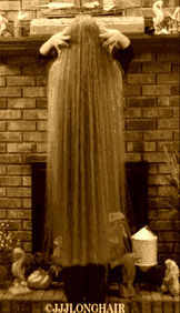 2024 length