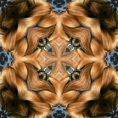 3 b bun kaleide