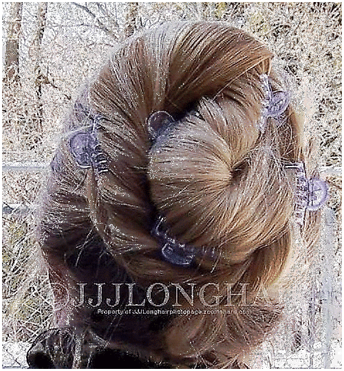 reverse s glitter bun reverse s glitter bun
