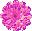 flwr