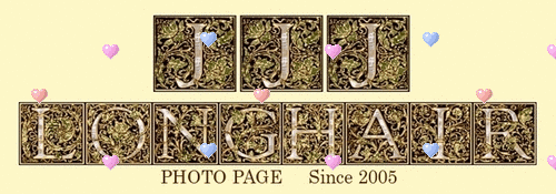 site since 2005